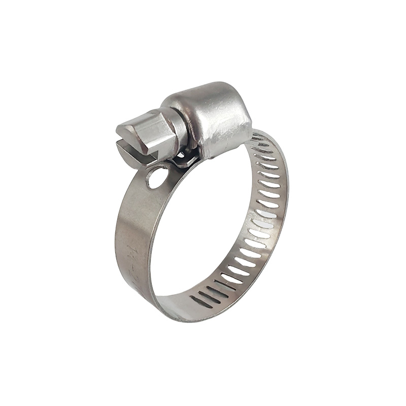 8MM Mini worm drive hose clamp