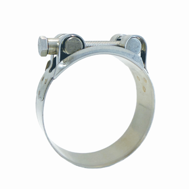 Heavy Duty Hose Clamp W1