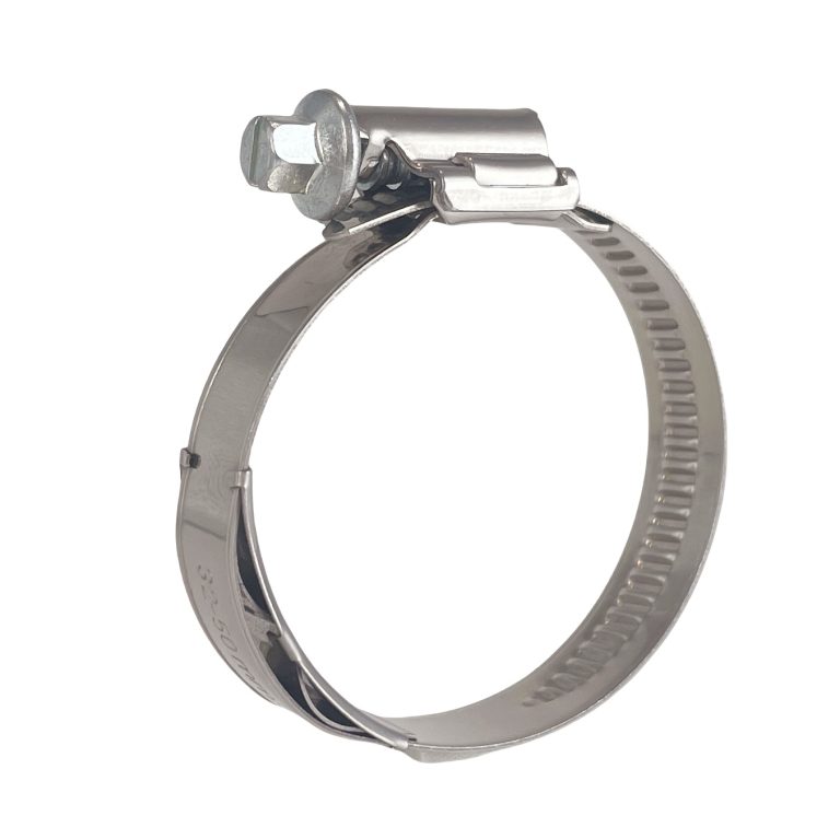 Worm drive hose clamp with spring